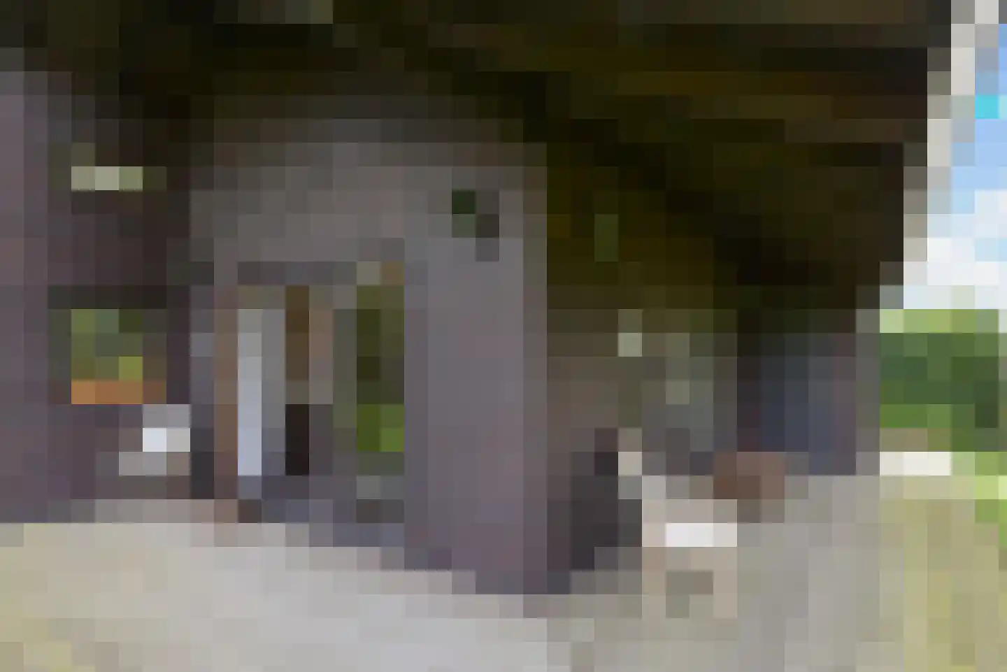 Haantje 11 Rijswijk thumbnail 92