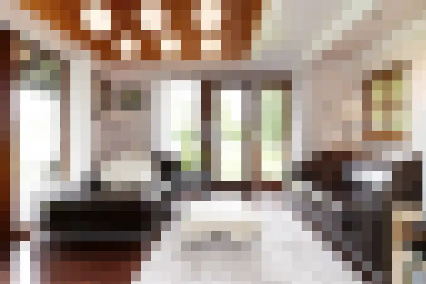 Haantje 11 Rijswijk thumbnail 93