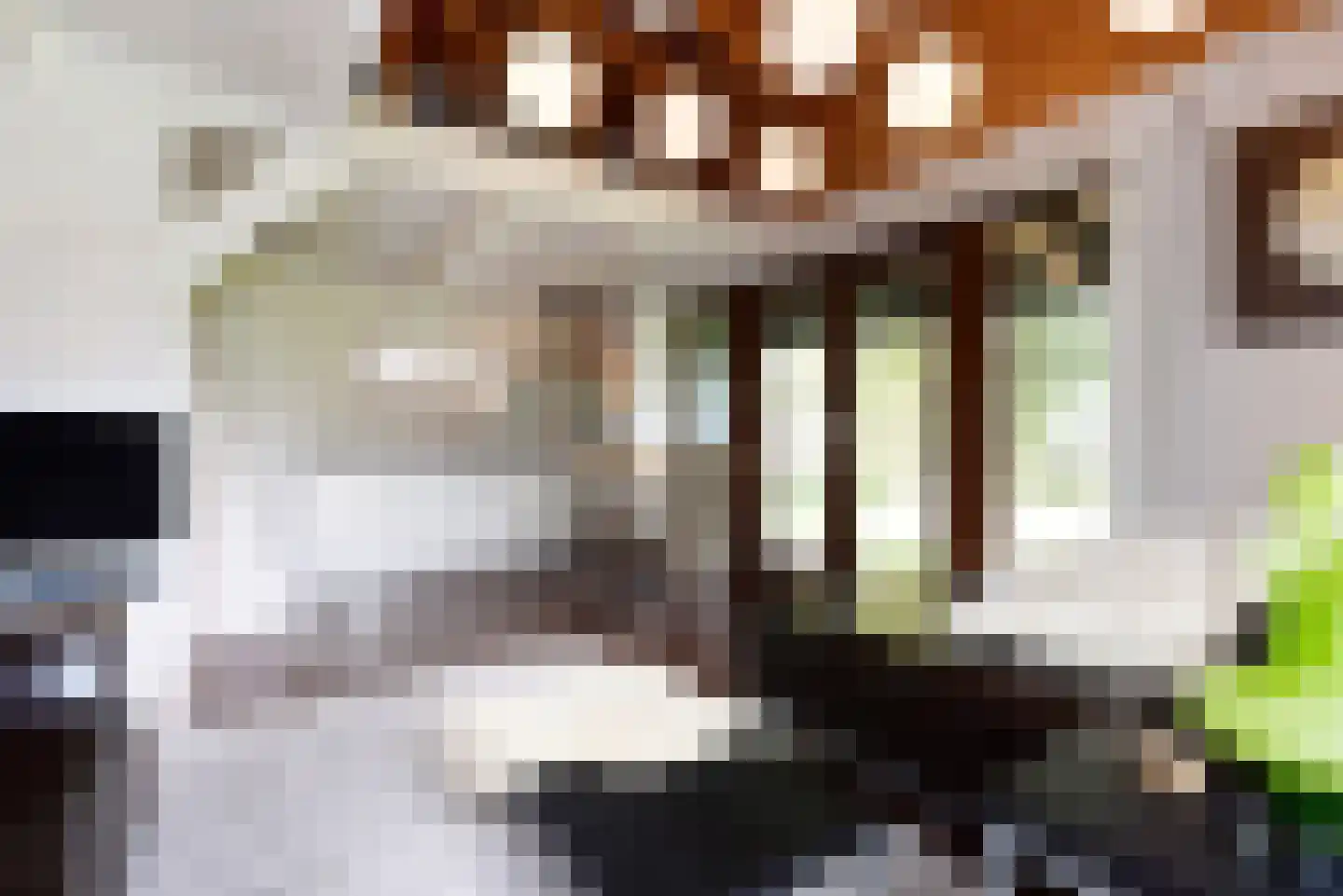 Haantje 11 Rijswijk thumbnail 94