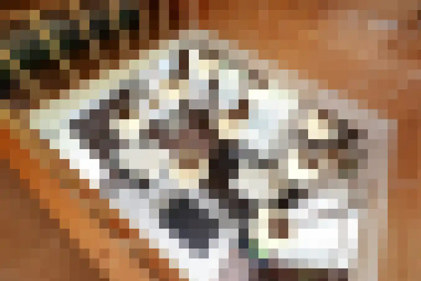Haantje 11 Rijswijk thumbnail 95