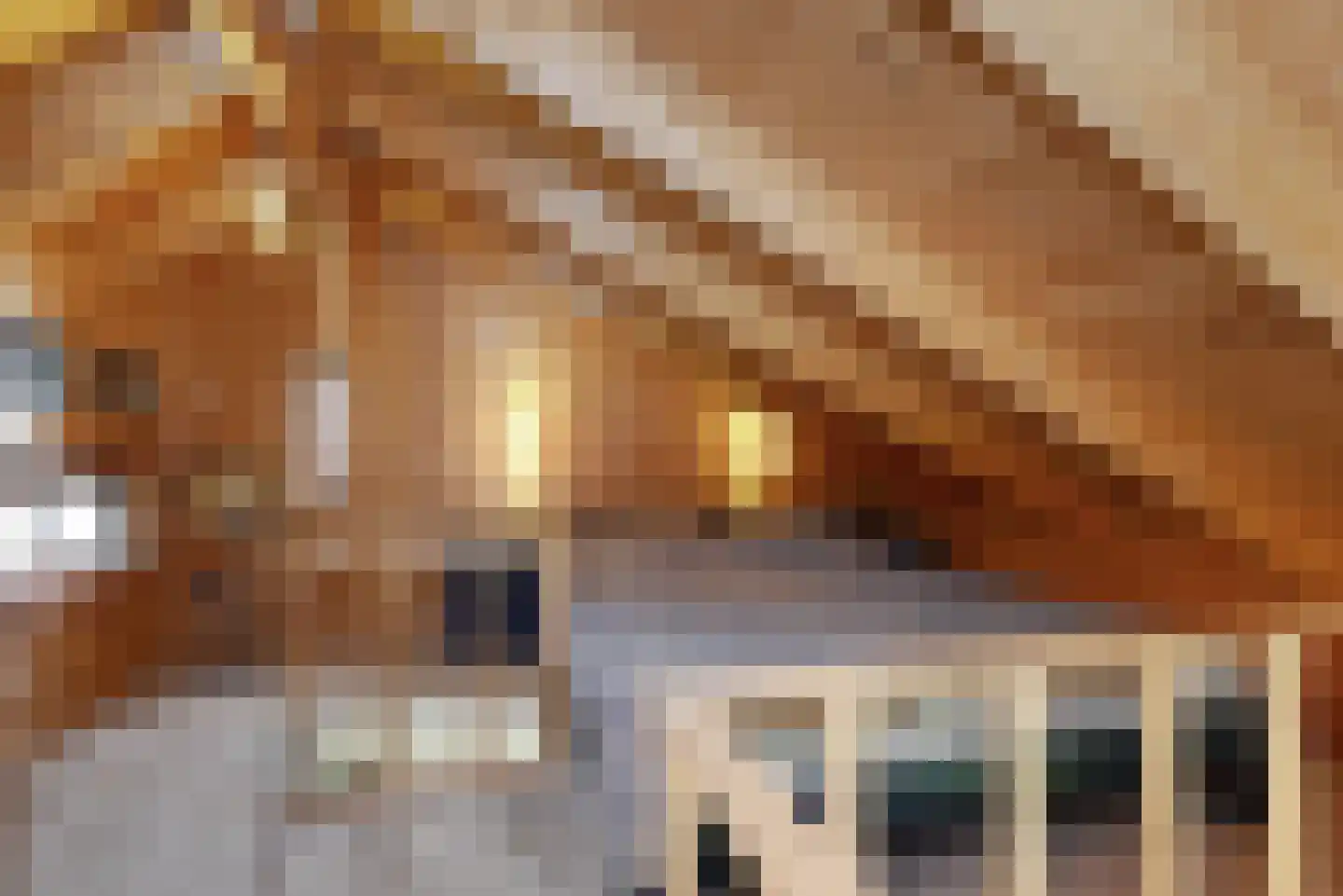 Haantje 11 Rijswijk thumbnail 97