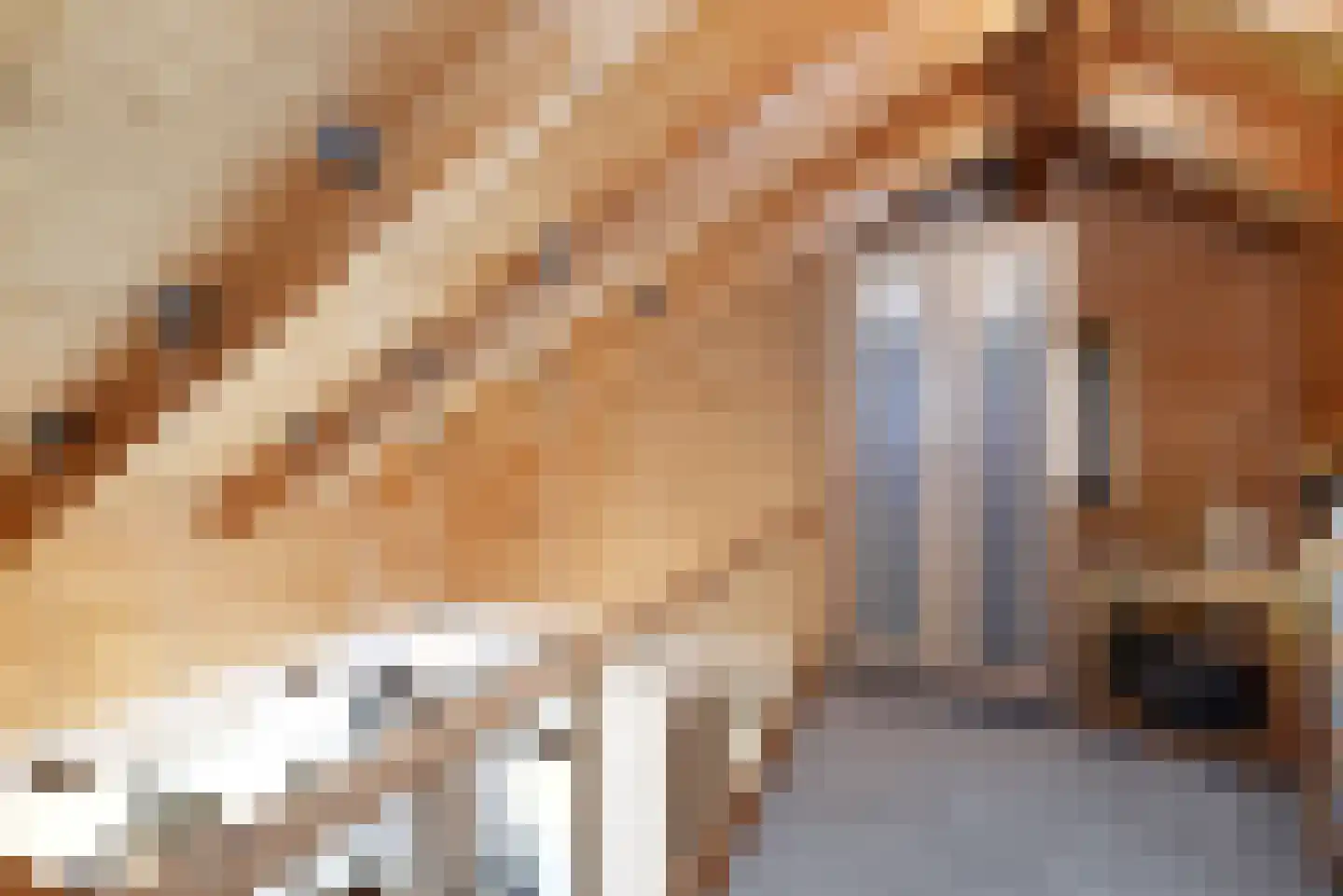 Haantje 11 Rijswijk thumbnail 98
