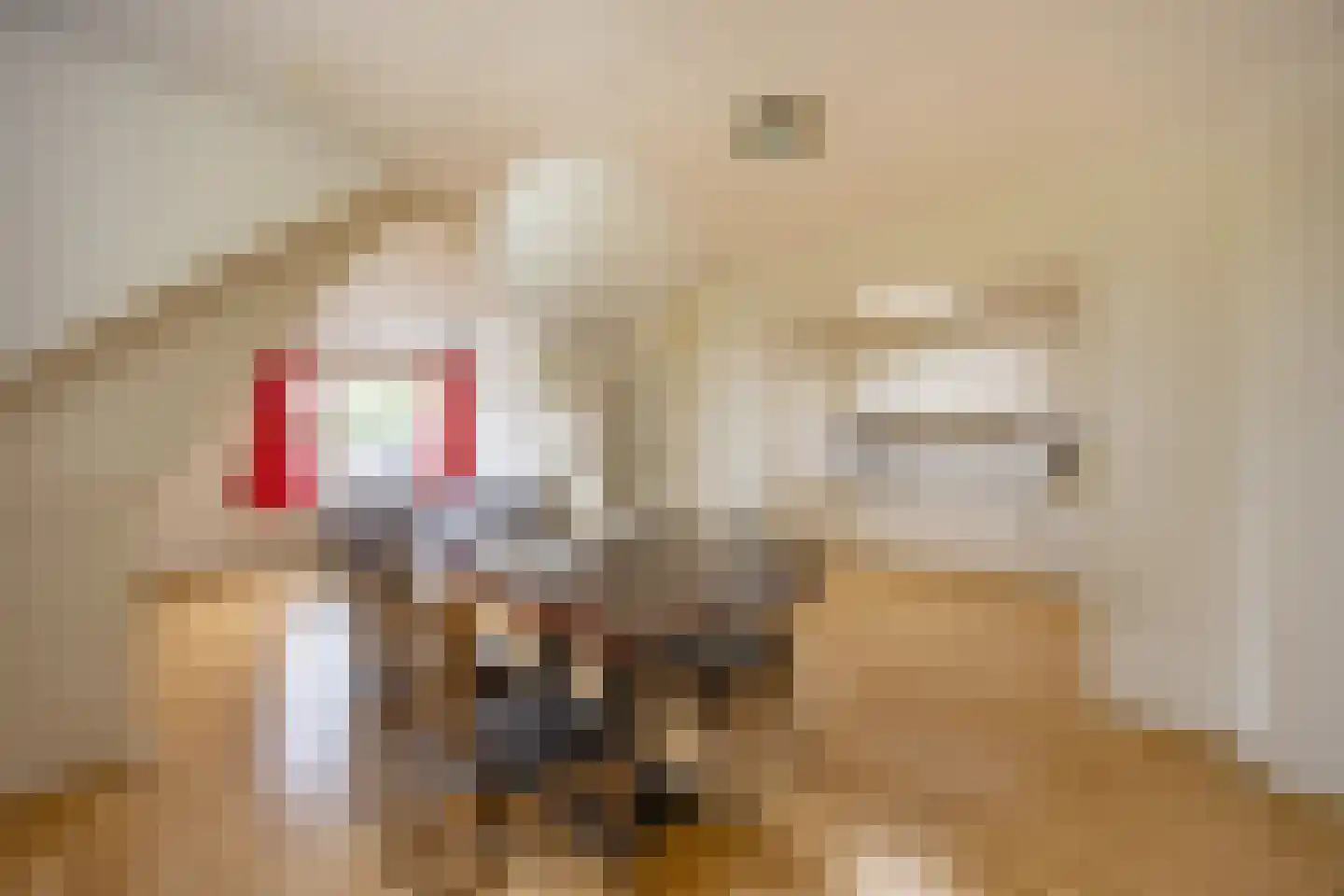 Haantje 17 Rijswijk thumbnail 12