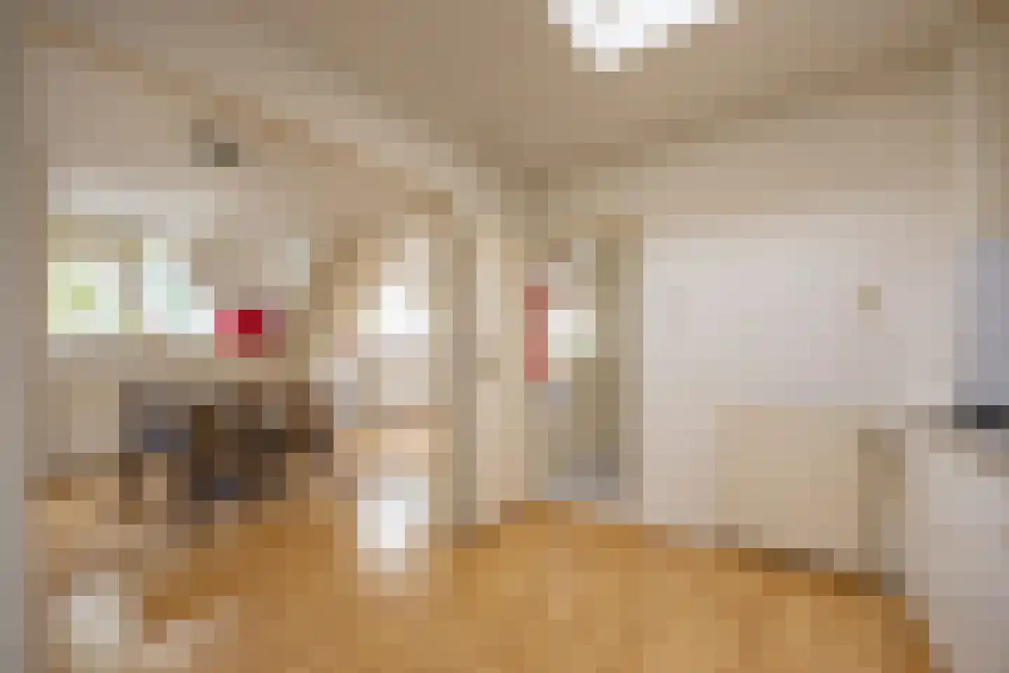 Haantje 17 Rijswijk thumbnail 13