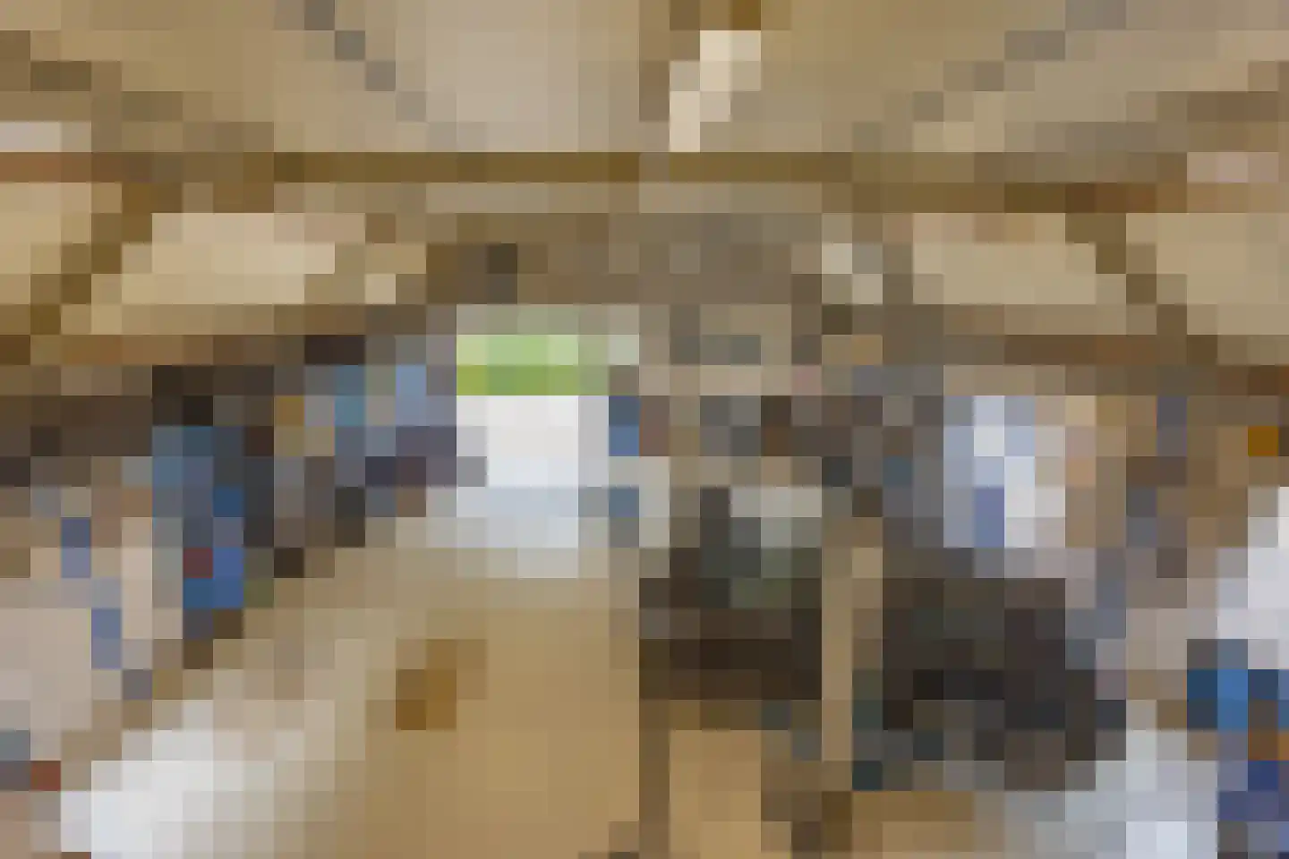 Haantje 17 Rijswijk thumbnail 26