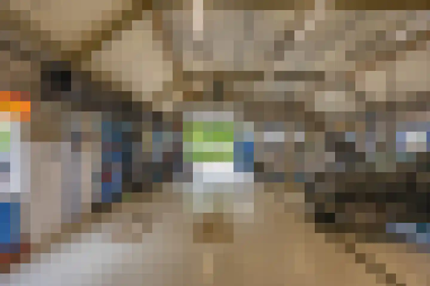 Haantje 17 Rijswijk thumbnail 29