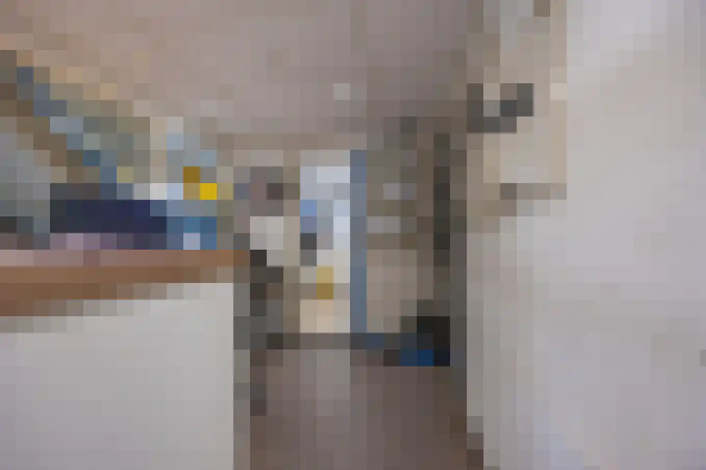 Haantje 17 Rijswijk thumbnail 36