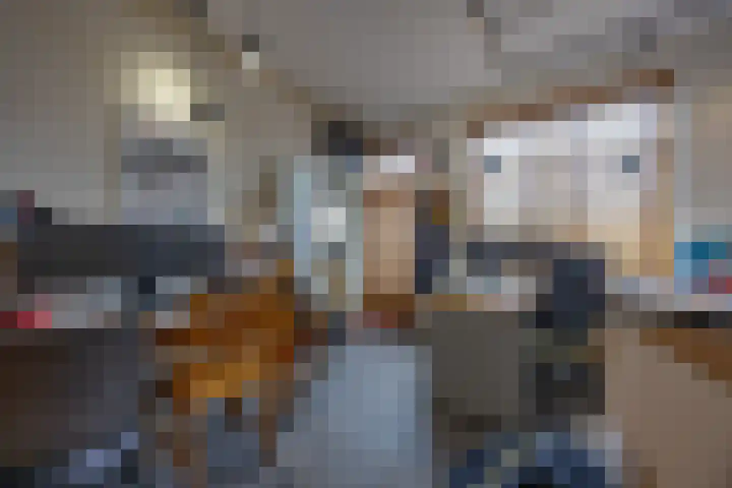Haantje 17 Rijswijk thumbnail 39