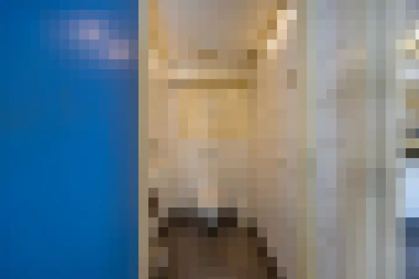 Haantje 17 Rijswijk thumbnail 41