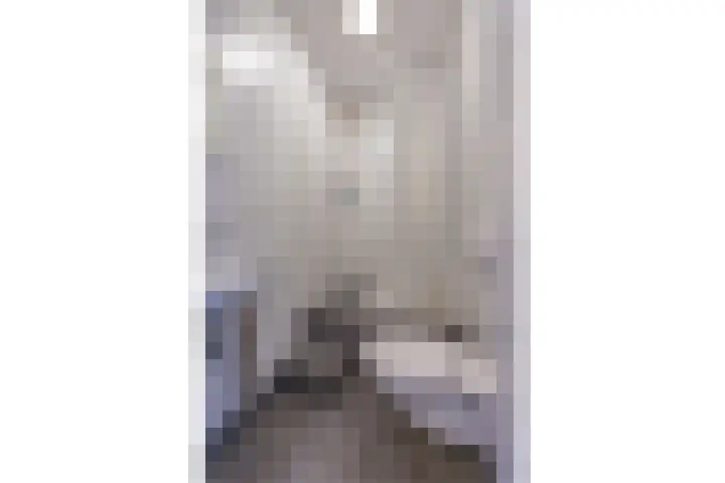 Haantje 17 Rijswijk thumbnail 42
