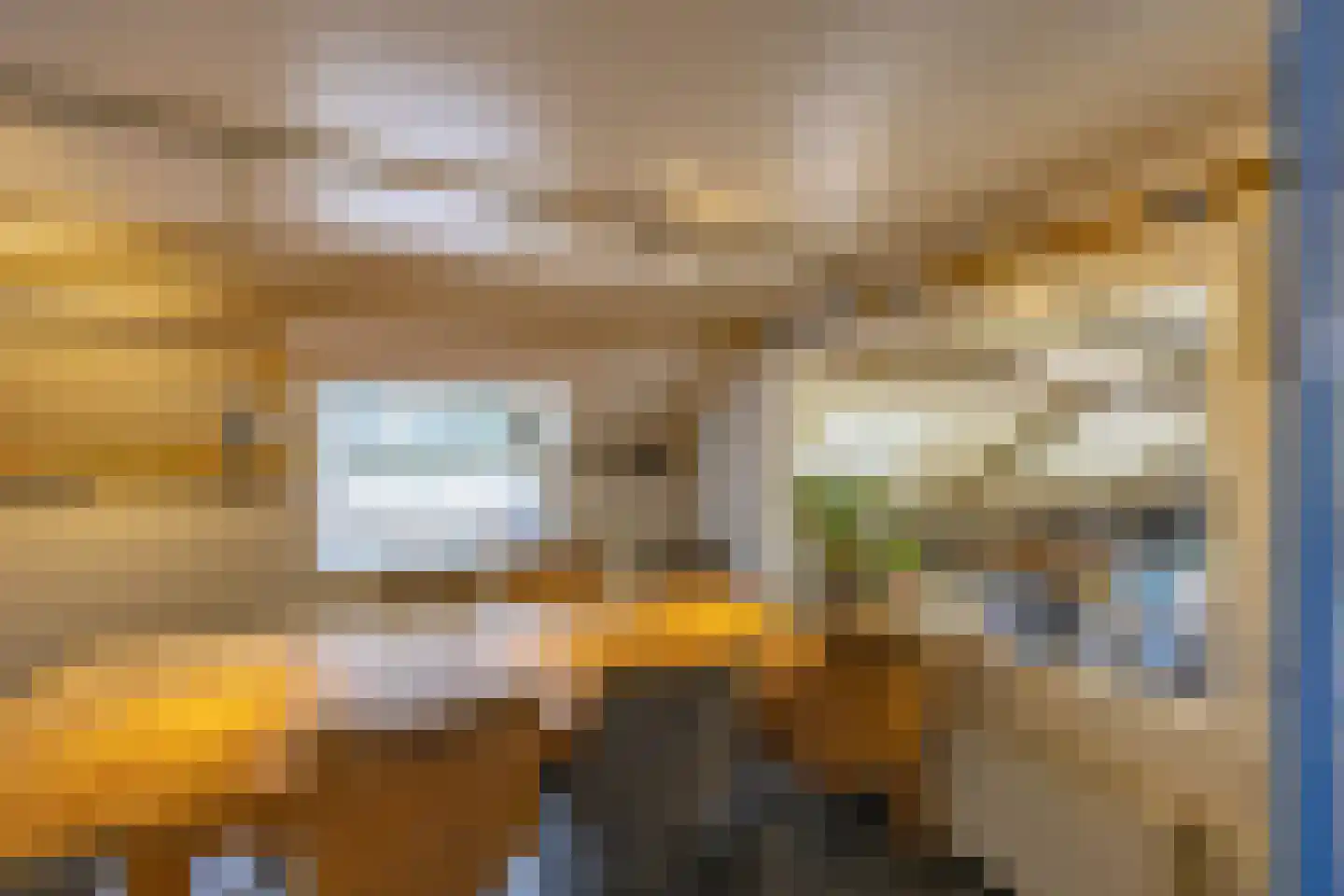 Haantje 17 Rijswijk thumbnail 44