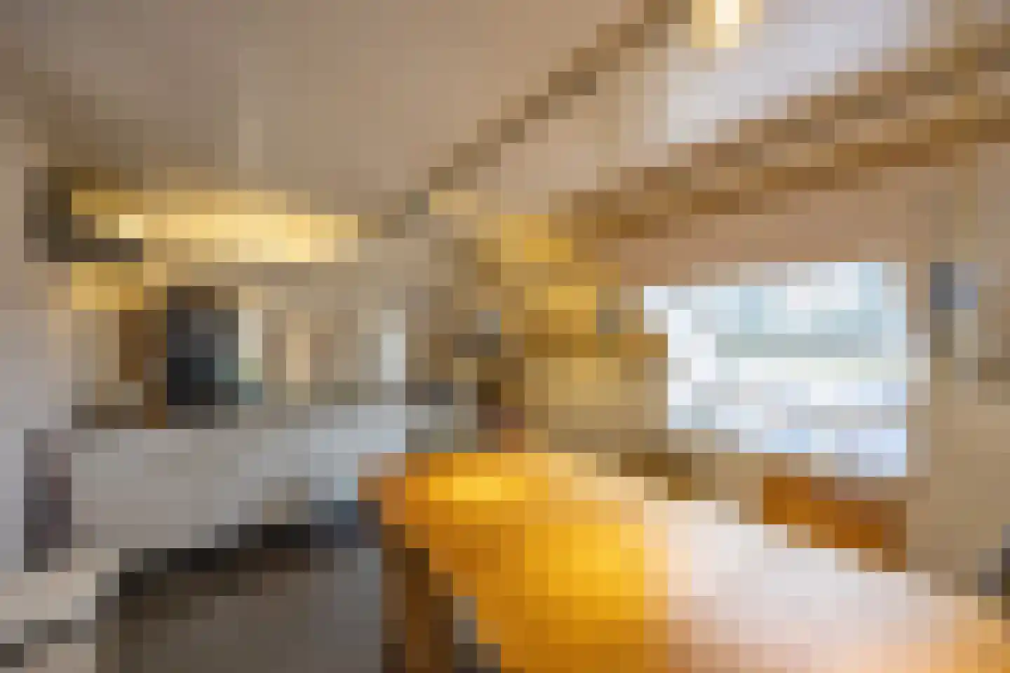 Haantje 17 Rijswijk thumbnail 45