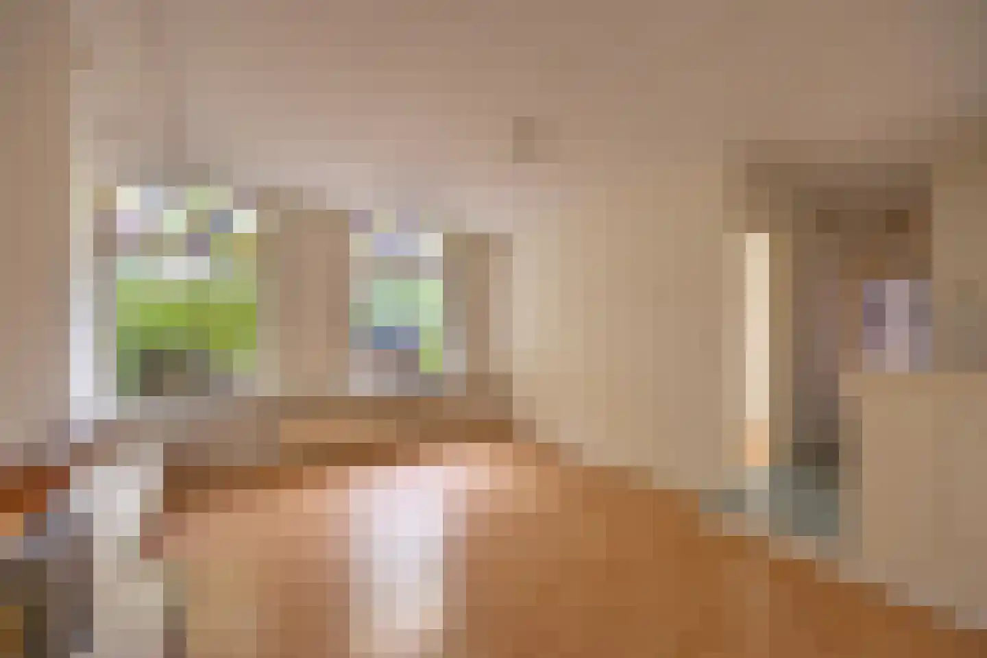Haantje 17 Rijswijk thumbnail 5