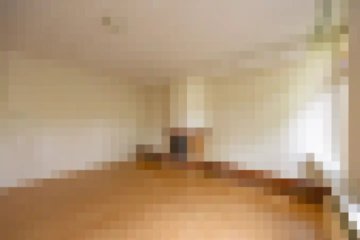 Haantje 17 Rijswijk thumbnail 7