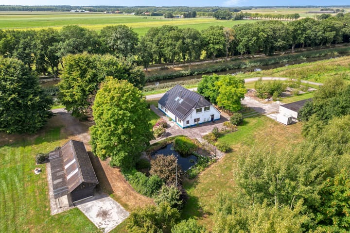 Haantje 2 en Odoornerveen foto