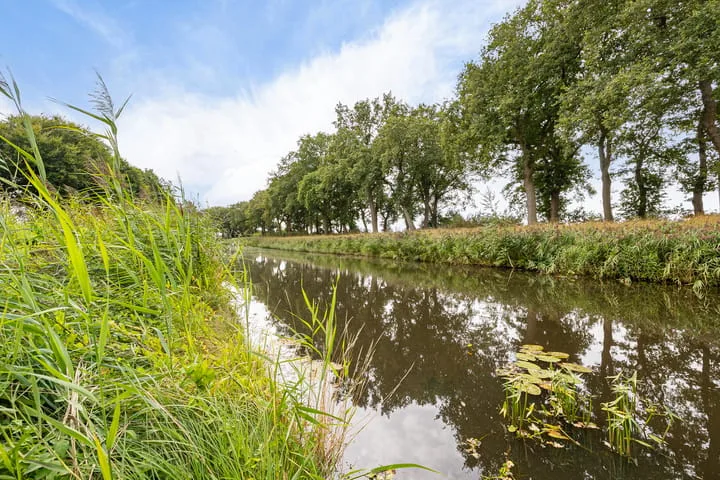 Haantje 2 Odoornerveen thumbnail 10