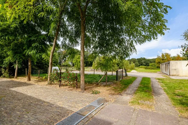 Haantje 2 Odoornerveen thumbnail 50