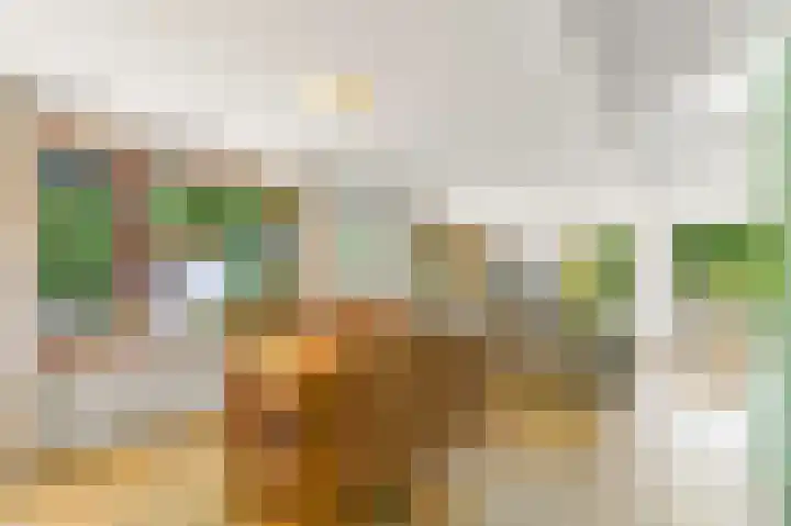 Haantje 22 Rijswijk thumbnail 12