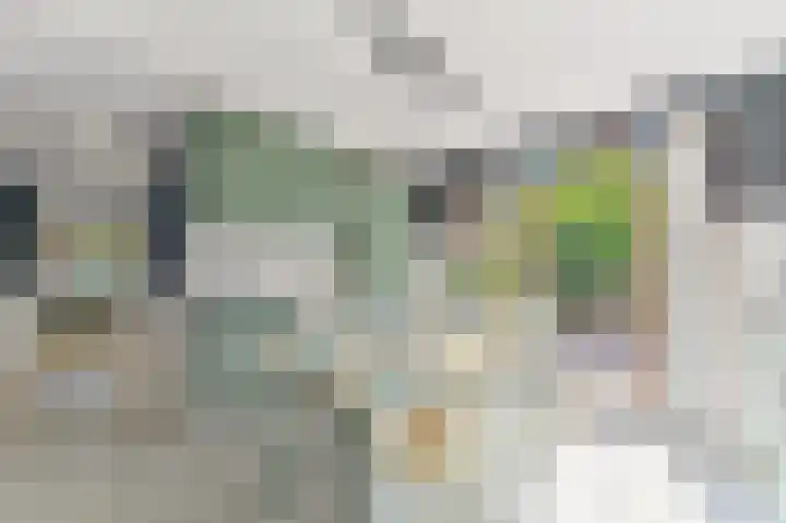 Haantje 22 Rijswijk thumbnail 17