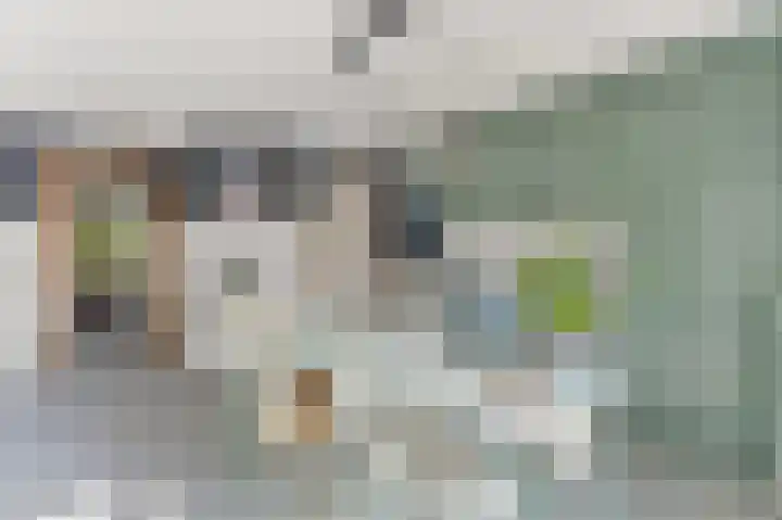 Haantje 22 Rijswijk thumbnail 20