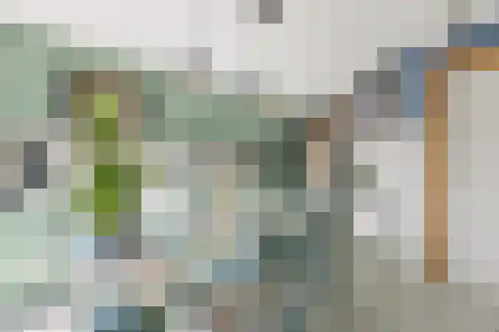Haantje 22 Rijswijk thumbnail 21