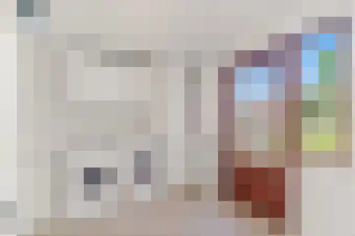 Haantje 22 Rijswijk thumbnail 25