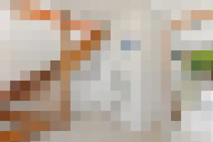 Haantje 22 Rijswijk thumbnail 26