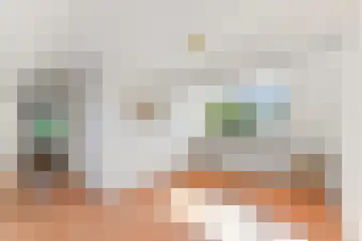 Haantje 22 Rijswijk thumbnail 30