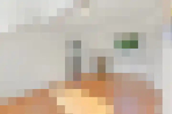 Haantje 22 Rijswijk thumbnail 31