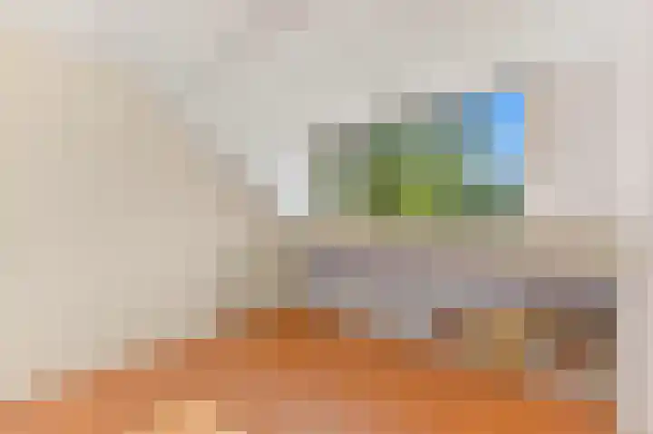 Haantje 22 Rijswijk thumbnail 35