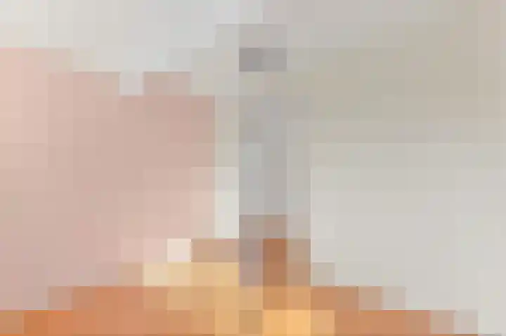 Haantje 22 Rijswijk thumbnail 36