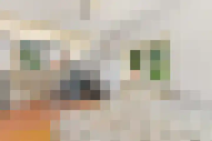 Haantje 22 Rijswijk thumbnail 37