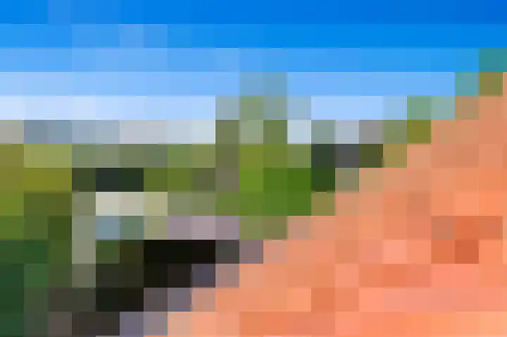 Haantje 22 Rijswijk thumbnail 39