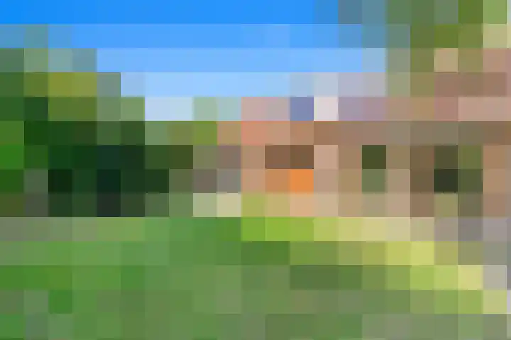 Haantje 22 Rijswijk thumbnail 4