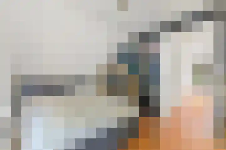Haantje 22 Rijswijk thumbnail 40