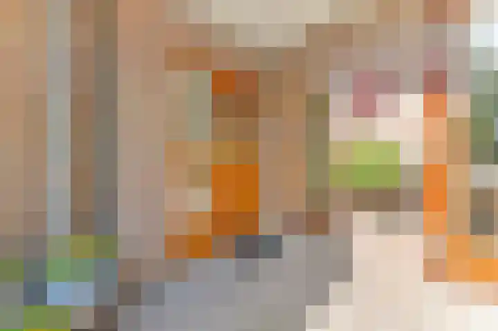 Haantje 22 Rijswijk thumbnail 46