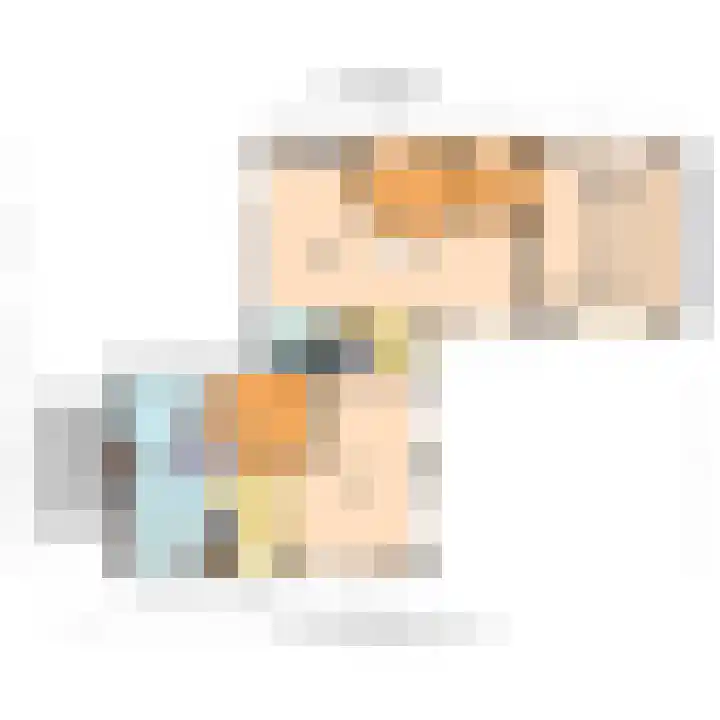 Haantje 22 Rijswijk thumbnail 47