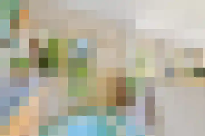 Haantje 22 Rijswijk thumbnail 55