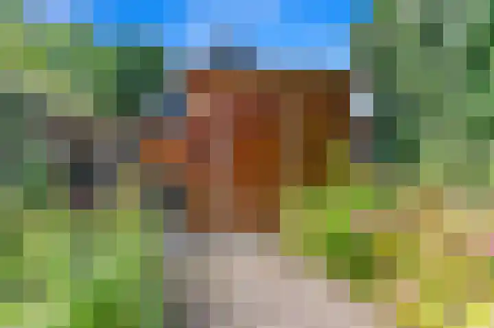 Haantje 22 Rijswijk thumbnail 57