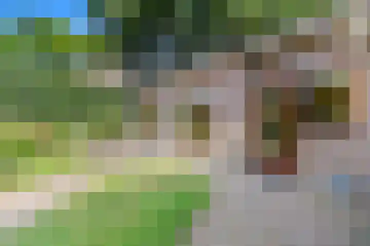Haantje 22 Rijswijk thumbnail 58