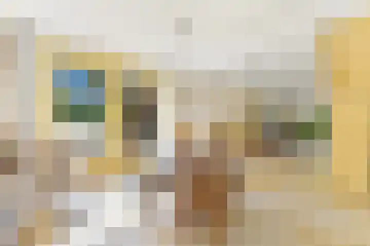Haantje 22 Rijswijk thumbnail 62