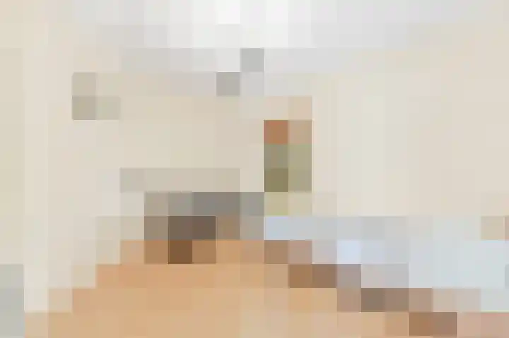 Haantje 22 Rijswijk thumbnail 63