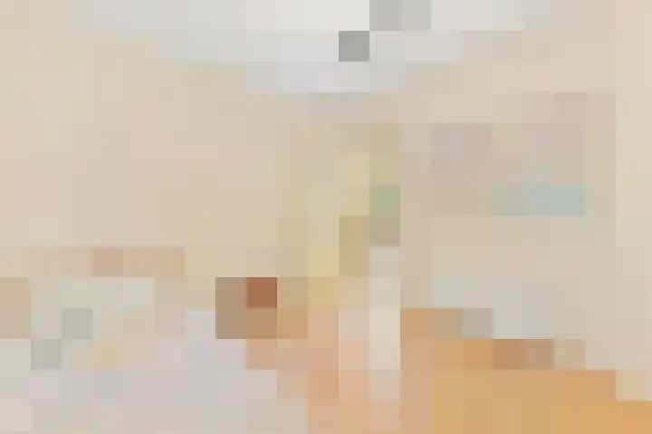 Haantje 22 Rijswijk thumbnail 64