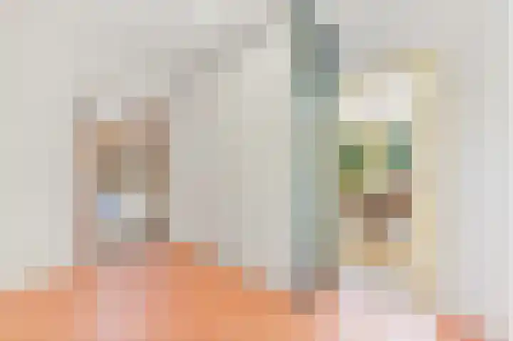 Haantje 22 Rijswijk thumbnail 65