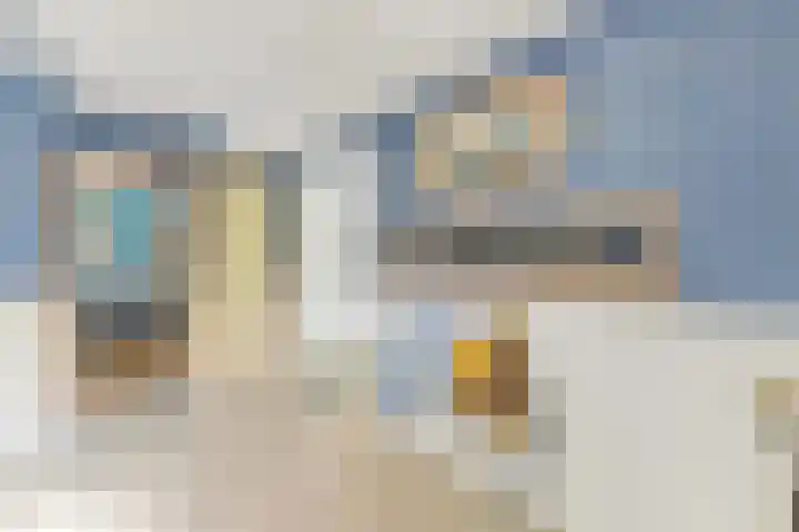 Haantje 22 Rijswijk thumbnail 7