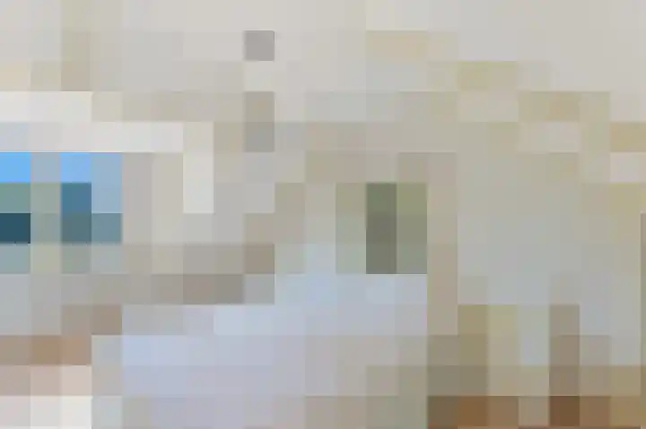 Haantje 22 Rijswijk thumbnail 72