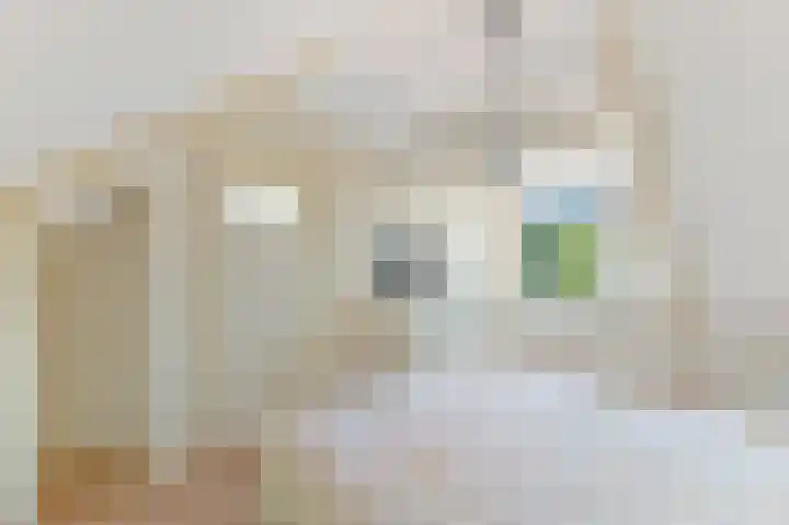 Haantje 22 Rijswijk thumbnail 74