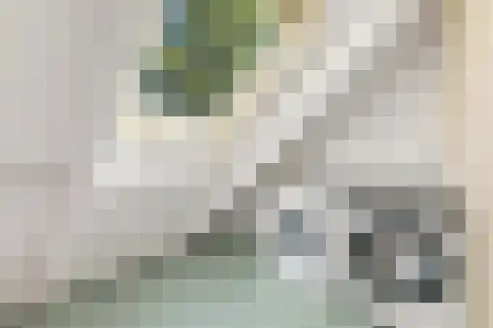 Haantje 22 Rijswijk thumbnail 75