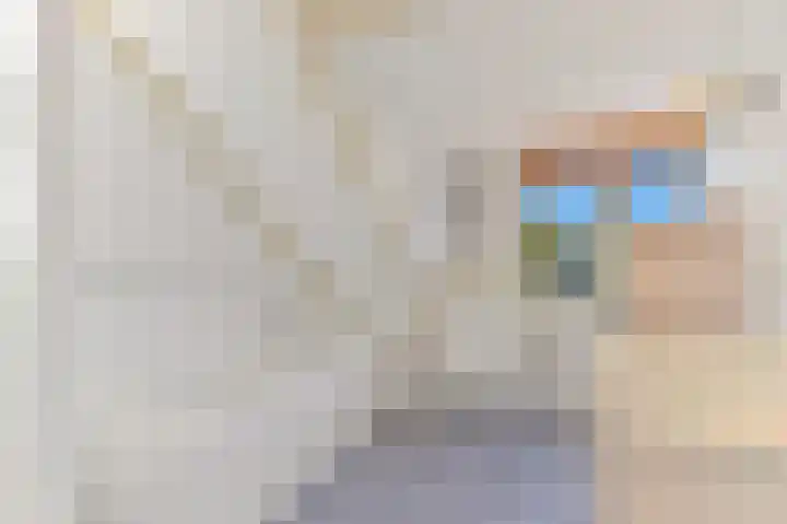 Haantje 22 Rijswijk thumbnail 76