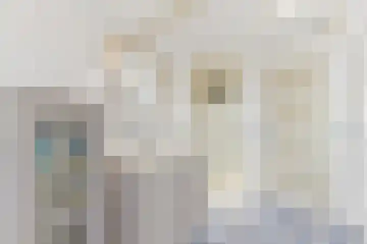 Haantje 22 Rijswijk thumbnail 78